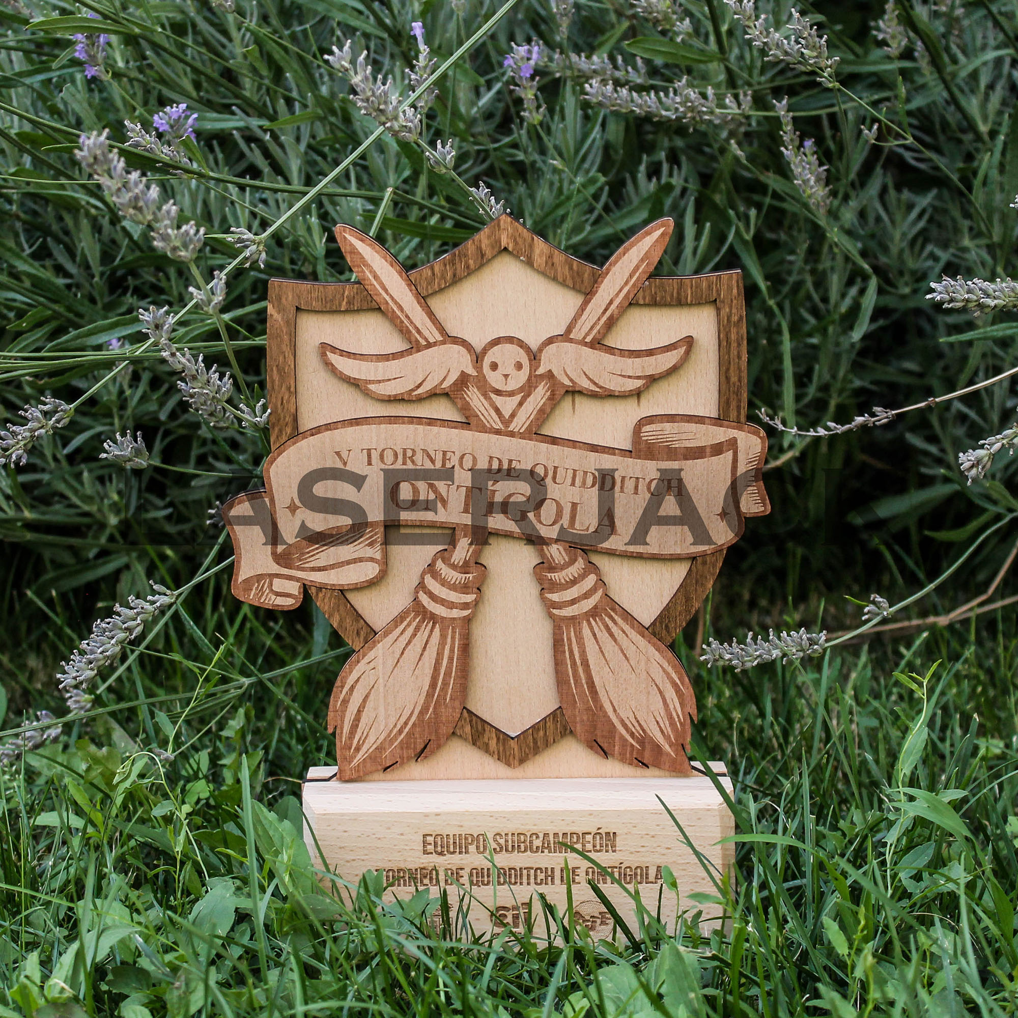 Trofeo madera - Imagen 52