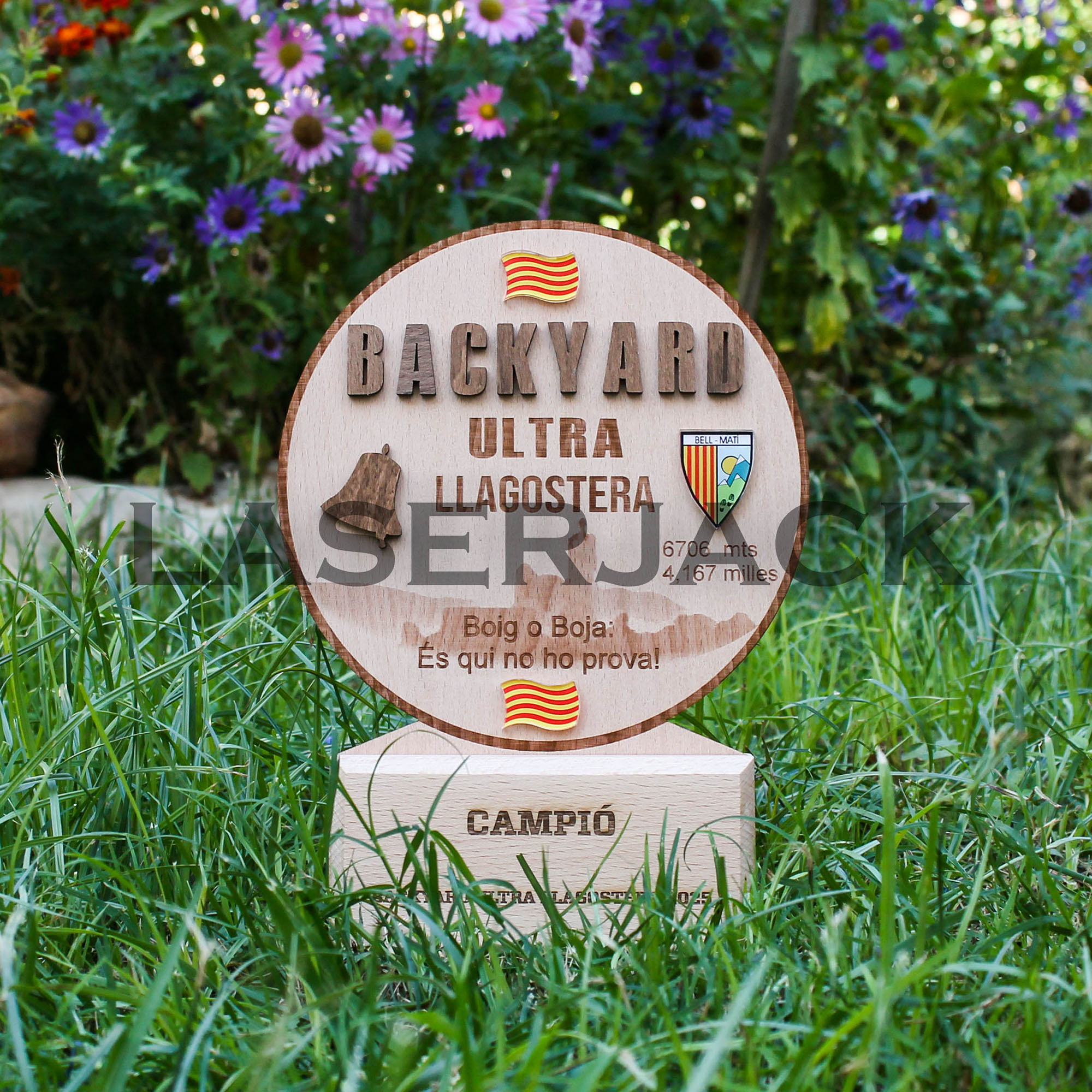 Trofeo madera - Imagen 11