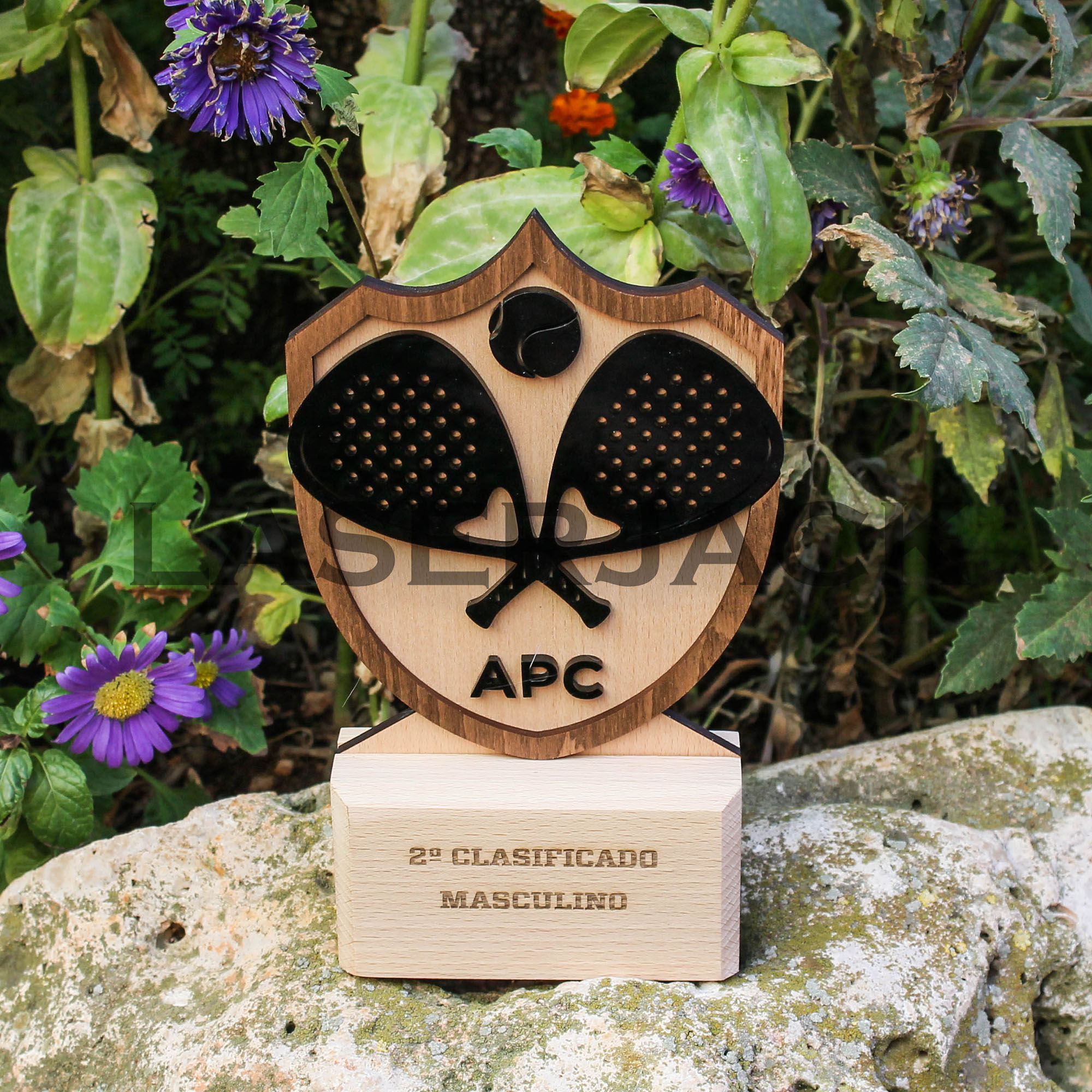 Trofeo madera - Imagen 5