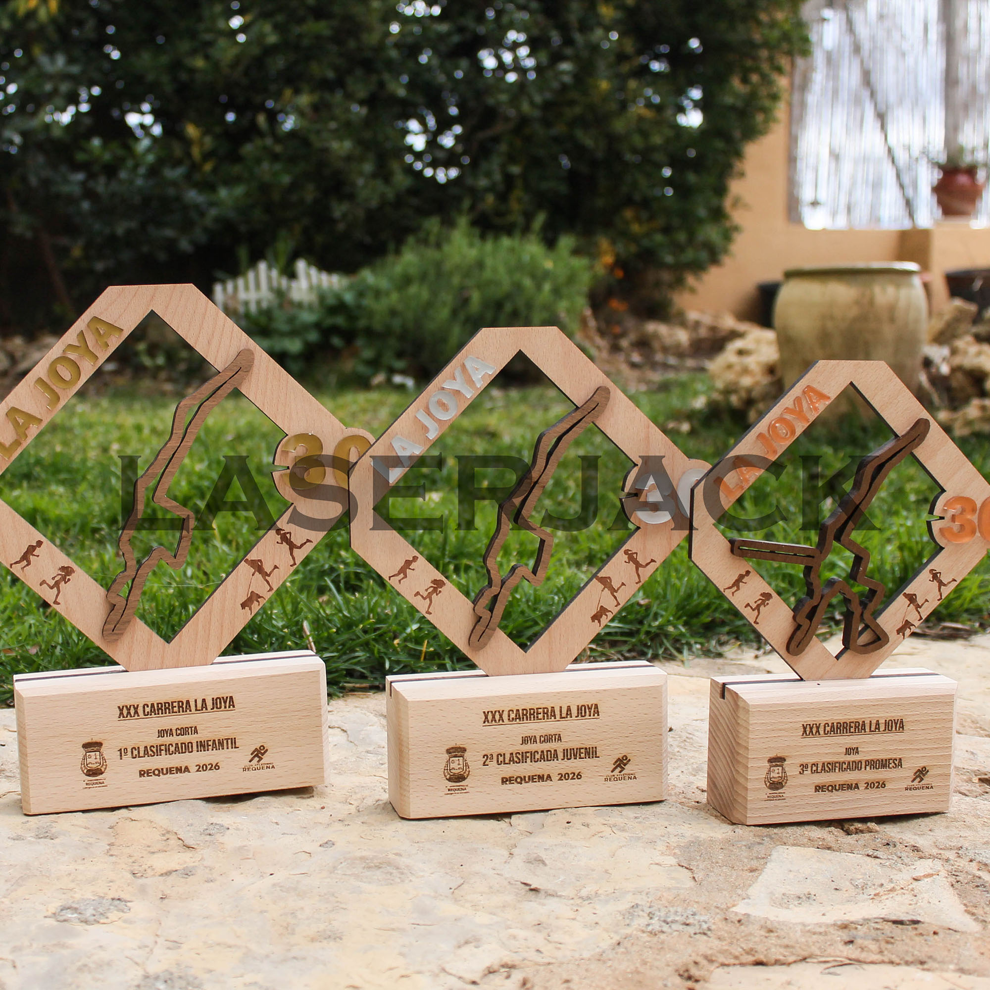 Trofeo madera - Imagen 29