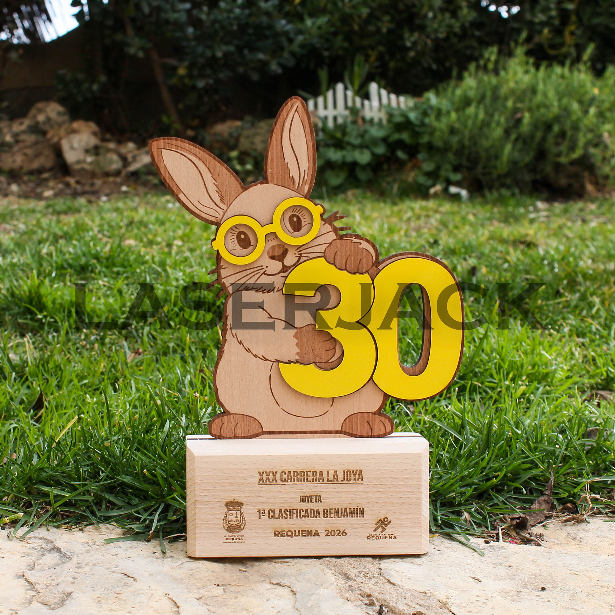 Trofeo madera - Imagen 3