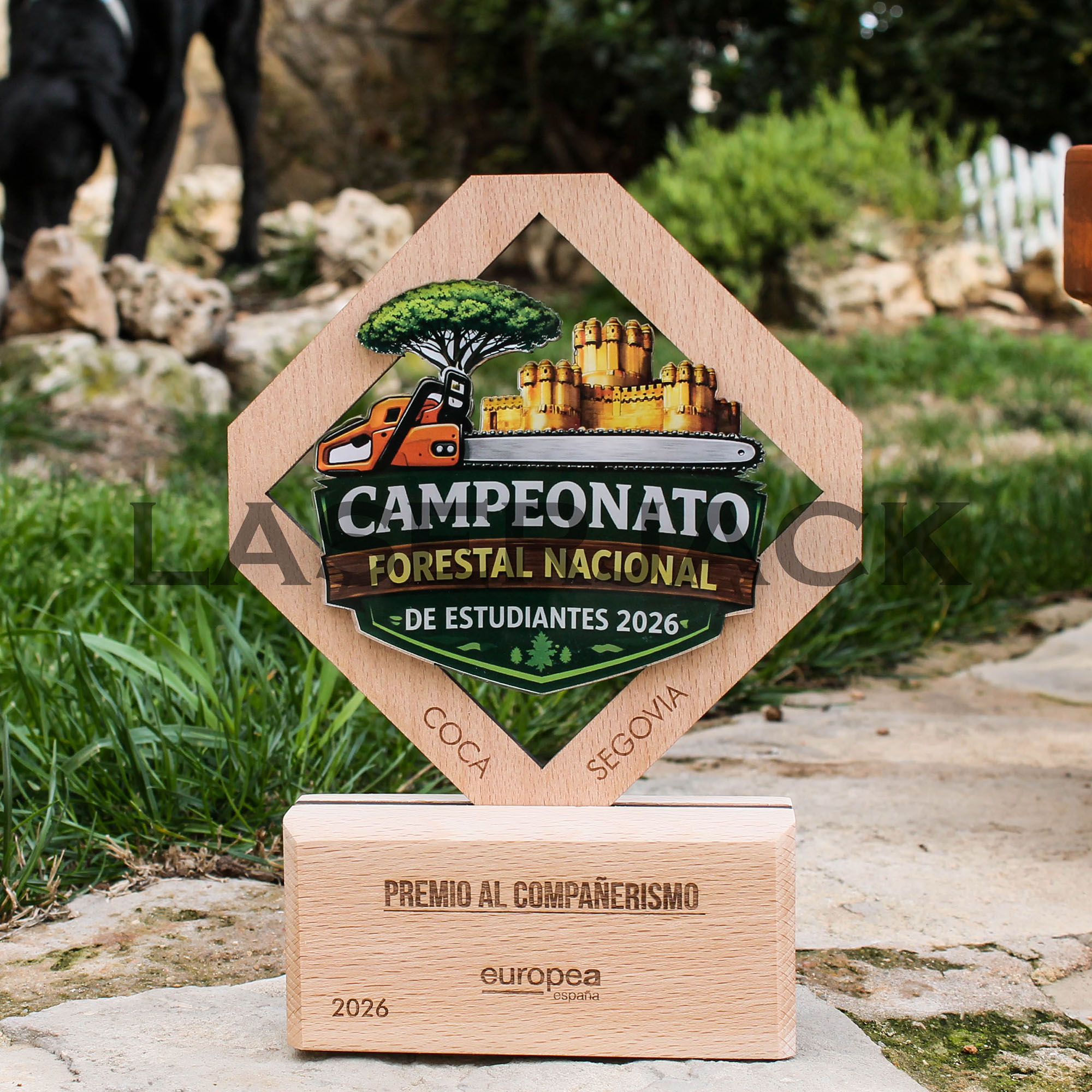 Trofeo madera - Imagen 10