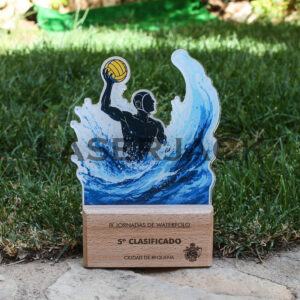 Trofeo metacrilato con vinilo a color - Imagen 10